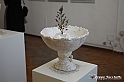 VBS_4113 - Paratissima 2021 - 17.ma Edizione